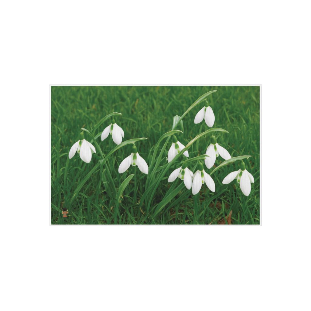 White snowdrop flowers blooming in green grass