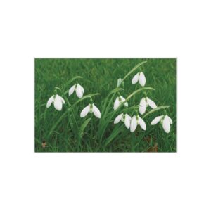 Snowdrop Flowers Outdoor Rug | Spring Floral Garden Entry Mat